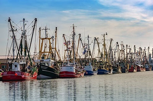 Fishing boats moored in a harbour